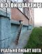 предыдушее фото
