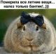 предыдушее фото