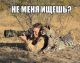 предыдушее фото