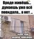 предыдушее фото