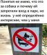 предыдушее фото