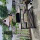 предыдушее фото