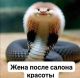 следующее фото