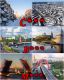 предыдушее фото