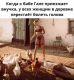 следующее фото