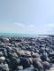 следующее фото
