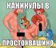 предыдушее фото