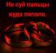 следующее фото