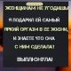предыдушее фото