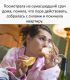 следующее фото