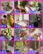 следующее фото