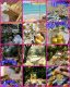 следующее фото