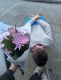 следующее фото