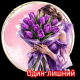 следующее фото