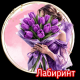 следующее фото