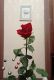 следующее фото