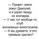 предыдушее фото