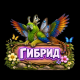следующее фото