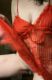 предыдушее фото