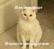 следующее фото