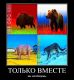 предыдушее фото