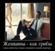 предыдушее фото
