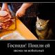 предыдушее фото