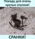 следующее фото