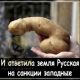 следующее фото