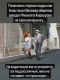 следующее фото
