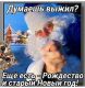 следующее фото