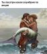 следующее фото