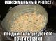 следующее фото