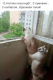 предыдушее фото