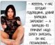 предыдушее фото