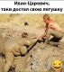 предыдушее фото