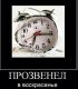 предыдушее фото