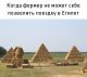 предыдушее фото