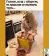 следующее фото
