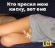предыдушее фото
