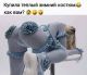предыдушее фото
