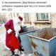 предыдушее фото