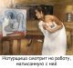 предыдушее фото
