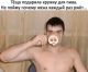 предыдушее фото