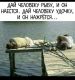 предыдушее фото