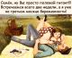 предыдушее фото