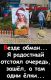 предыдушее фото
