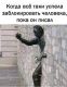 предыдушее фото