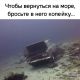 предыдушее фото