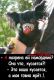 предыдушее фото